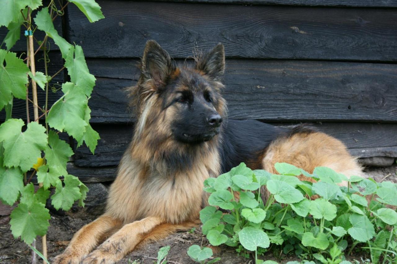 Folwark Mazurskie Legendy Kruklanki Exterior foto